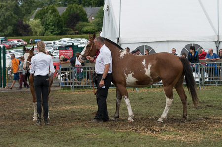 DSC_6380