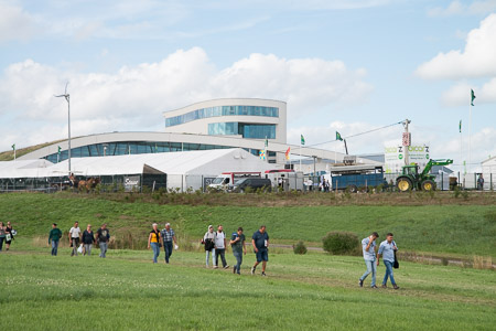 DSC_7133