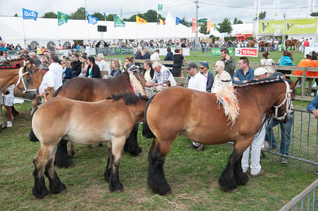 _CSV2095