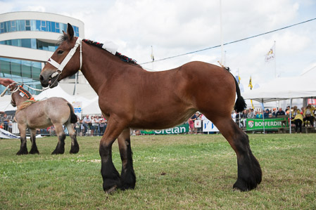 _CSV2193