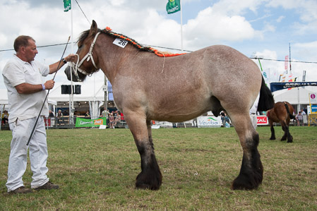 _CSV2197