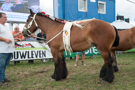 _CSV2228