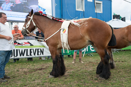 _CSV2229