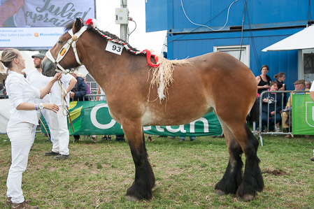 _CSV2245