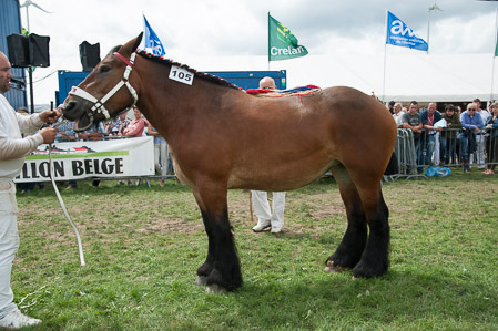 _CSV2265