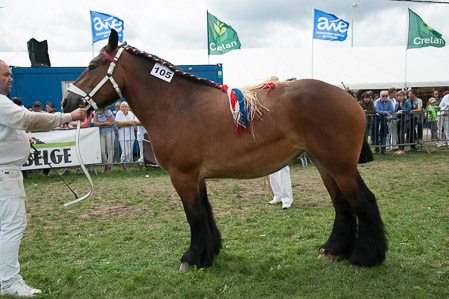 _CSV2266