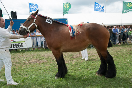 _CSV2267