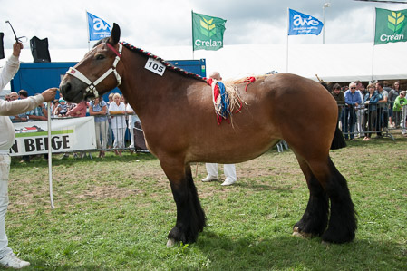 _CSV2270