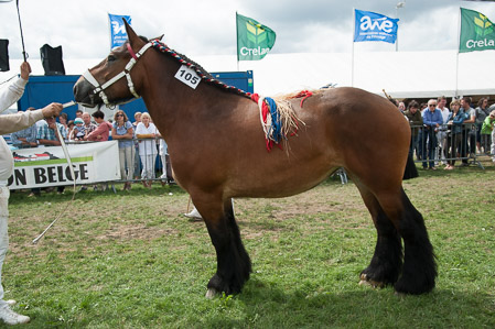 _CSV2272