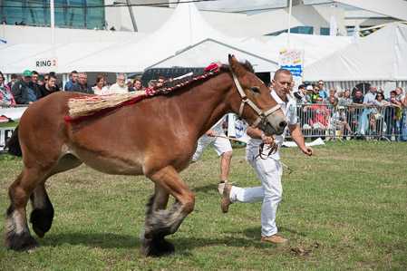 _CSV2282