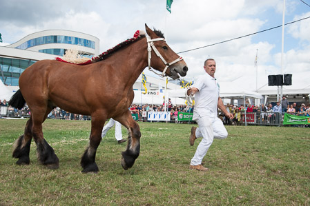 _CSV2298