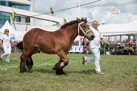 _CSV2304