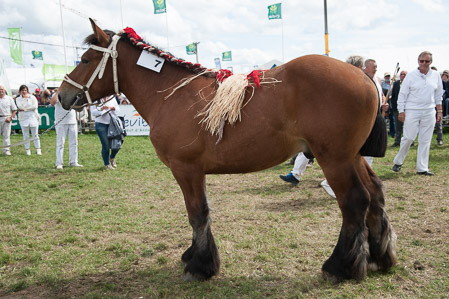 _CSV2308