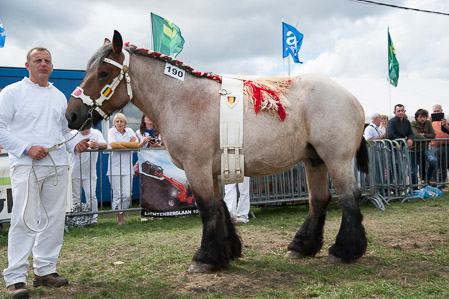 _CSV2324
