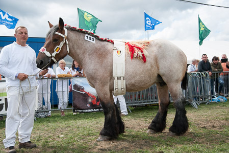 _CSV2325