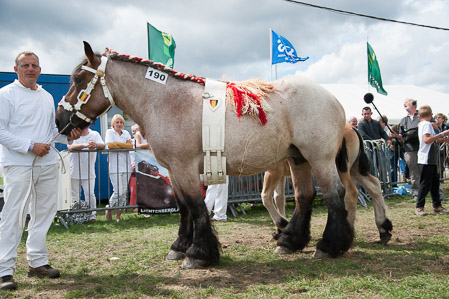 _CSV2326