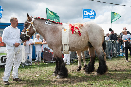 _CSV2329