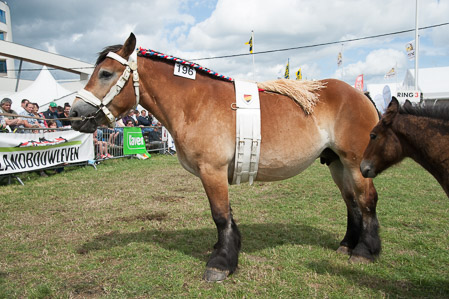 _CSV2347
