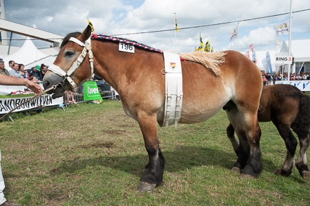 _CSV2350