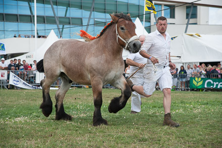 _CSV2358