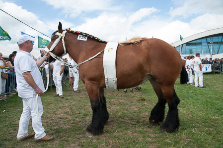 _CSV2383