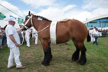 _CSV2384