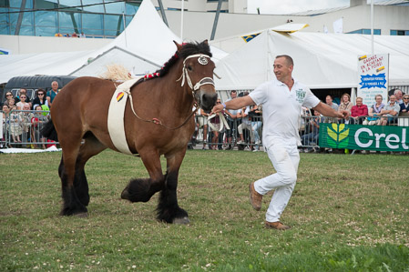 _CSV2398