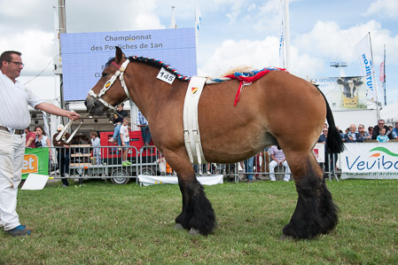 _CSV2455