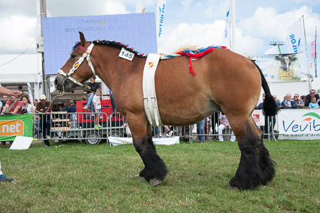 _CSV2456