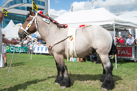 _CSV2533
